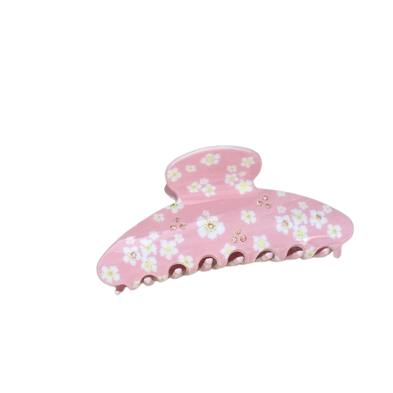 BLOM CLIP